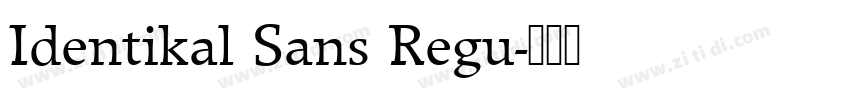 Identikal Sans Regu字体转换 Identikal Sans Regu字体转换